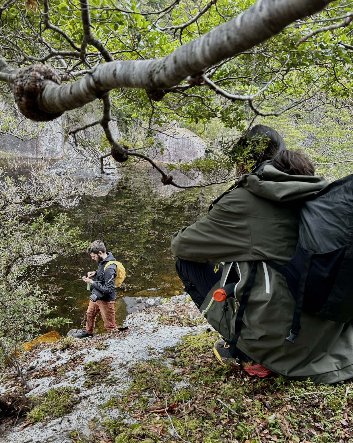 Captura de Pantalla 2023-09-17 a la(s) 10.01.36.png (4.53 MB)