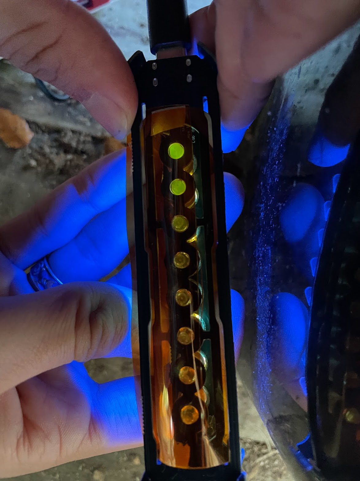 IMG_6599.jpg (250 KB)