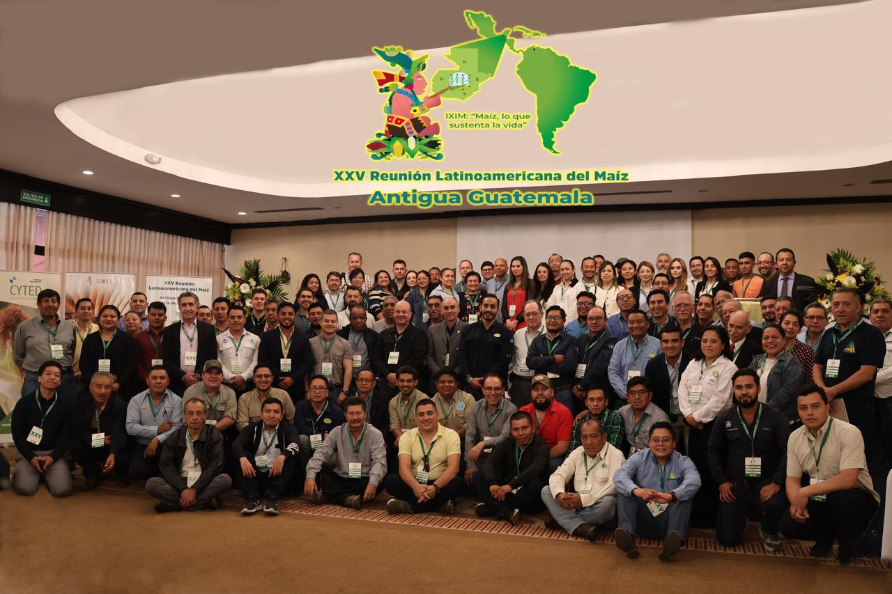 WhatsApp Image 2024-09-07 at 18.16.27.jpeg (147 KB)