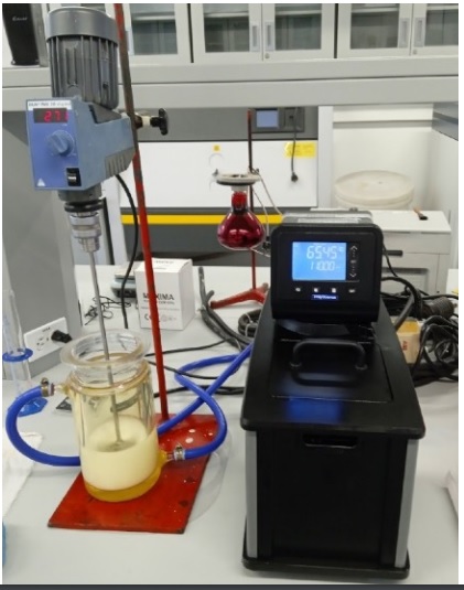 celulosa en almidon.jpg (63 KB)