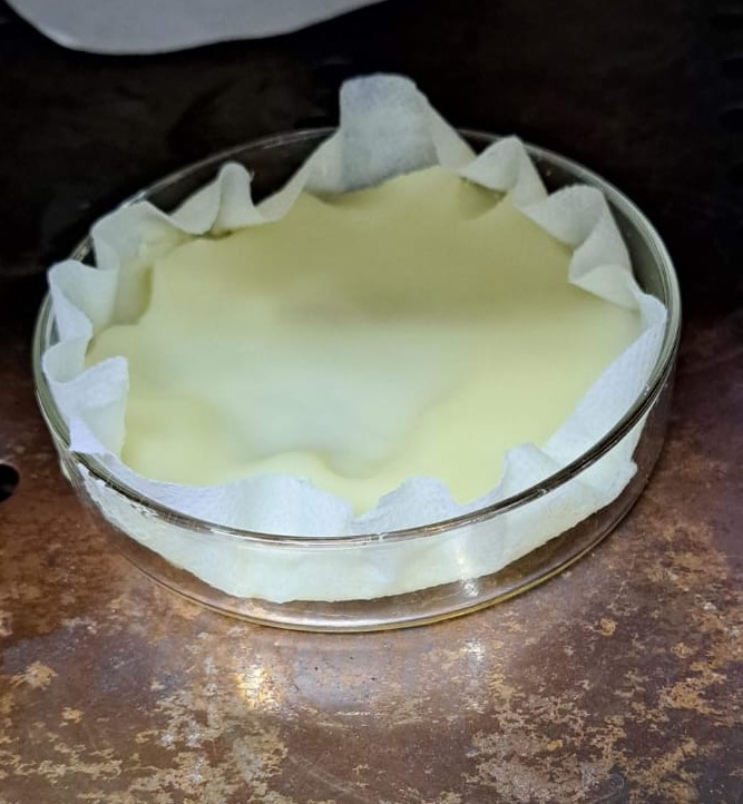 WhatsApp Image 2023-10-02 at 3.25.11 PM.jpeg (119 KB)