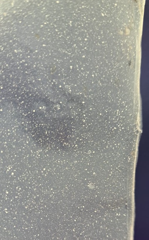 WhatsApp Image 2023-10-02 at 2.47.17 PM.jpeg (90 KB)