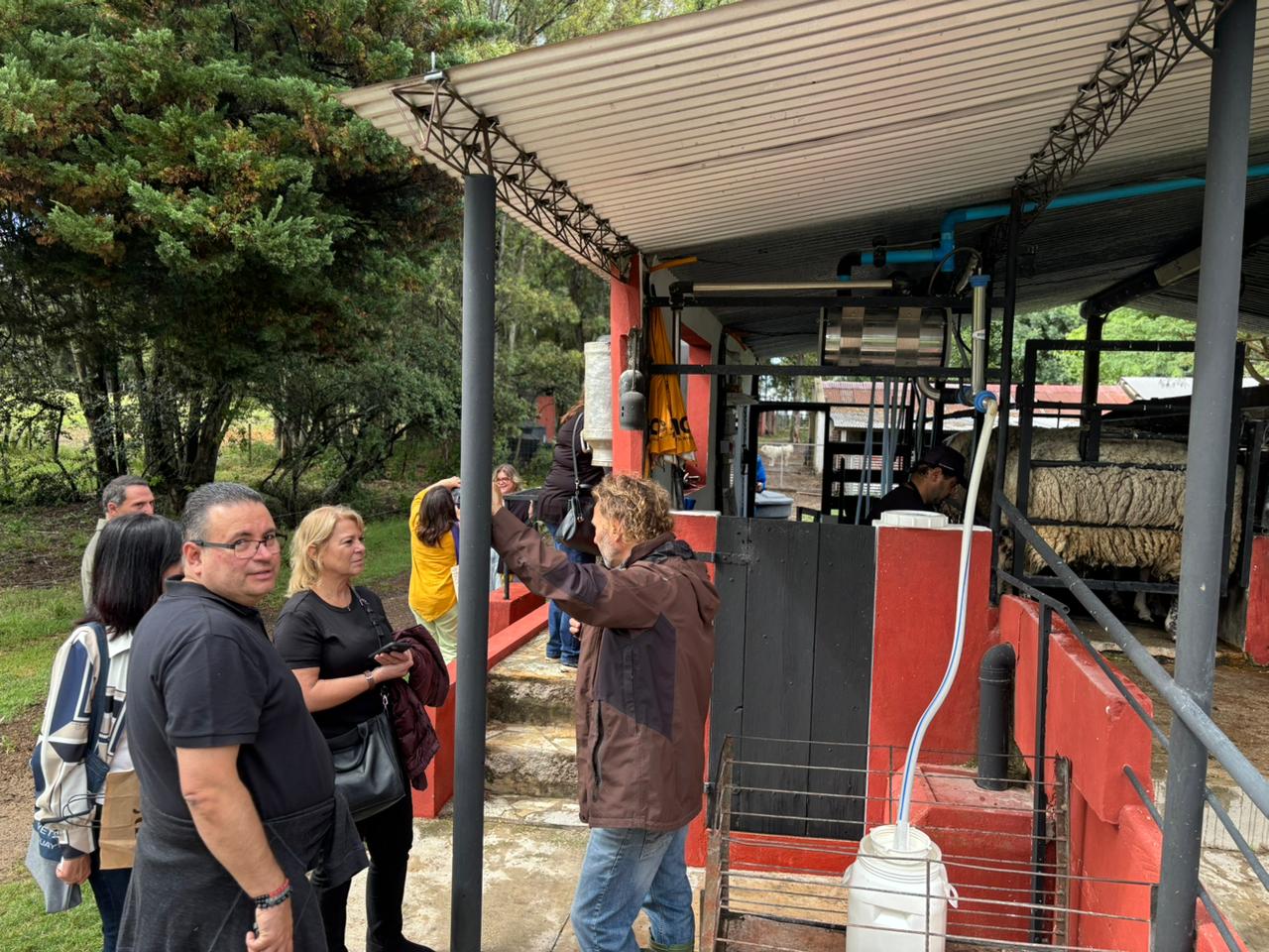 DWVM3403.JPG (238 KB)