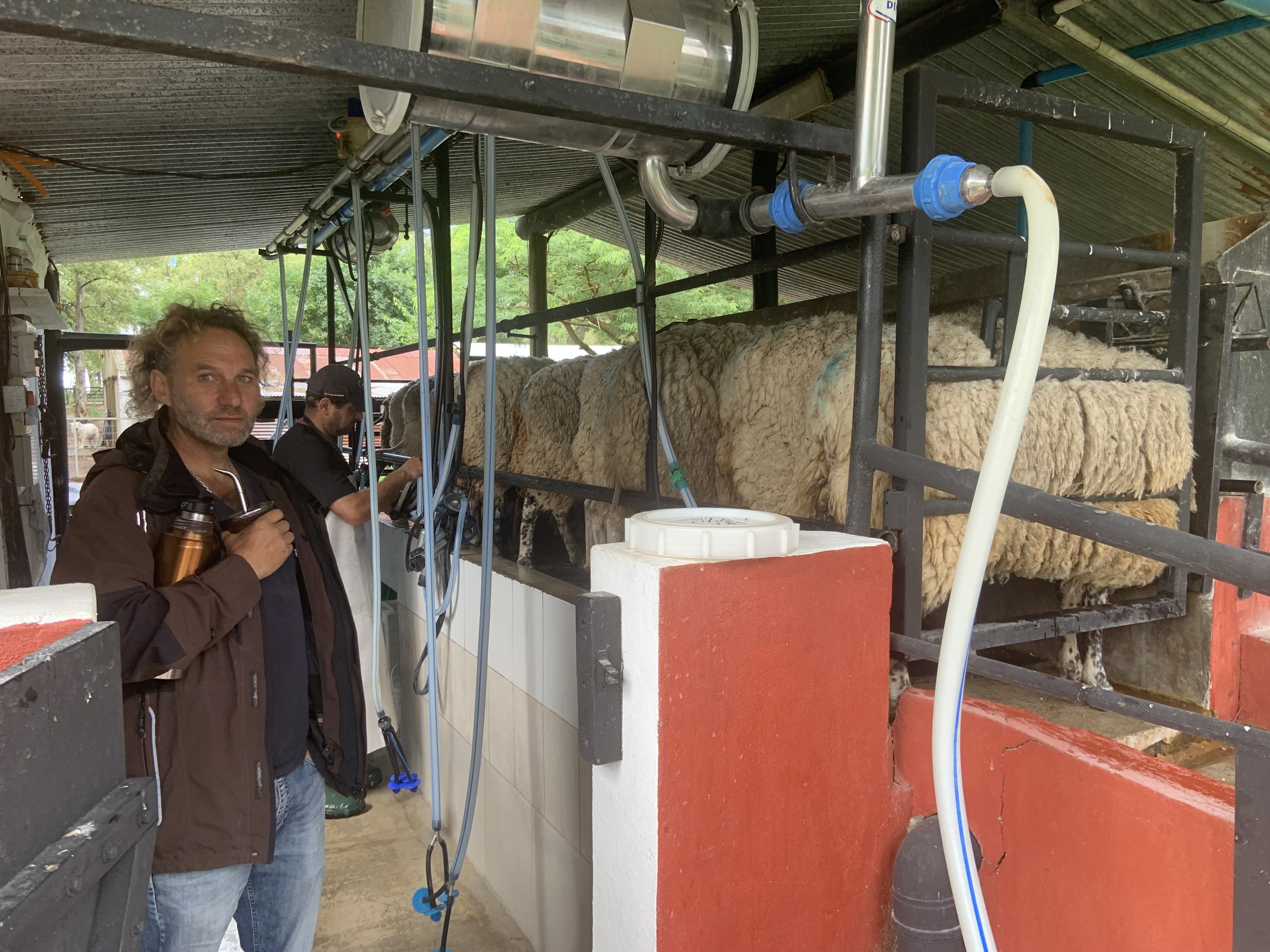 IMG_3717.jpg (3.22 MB)