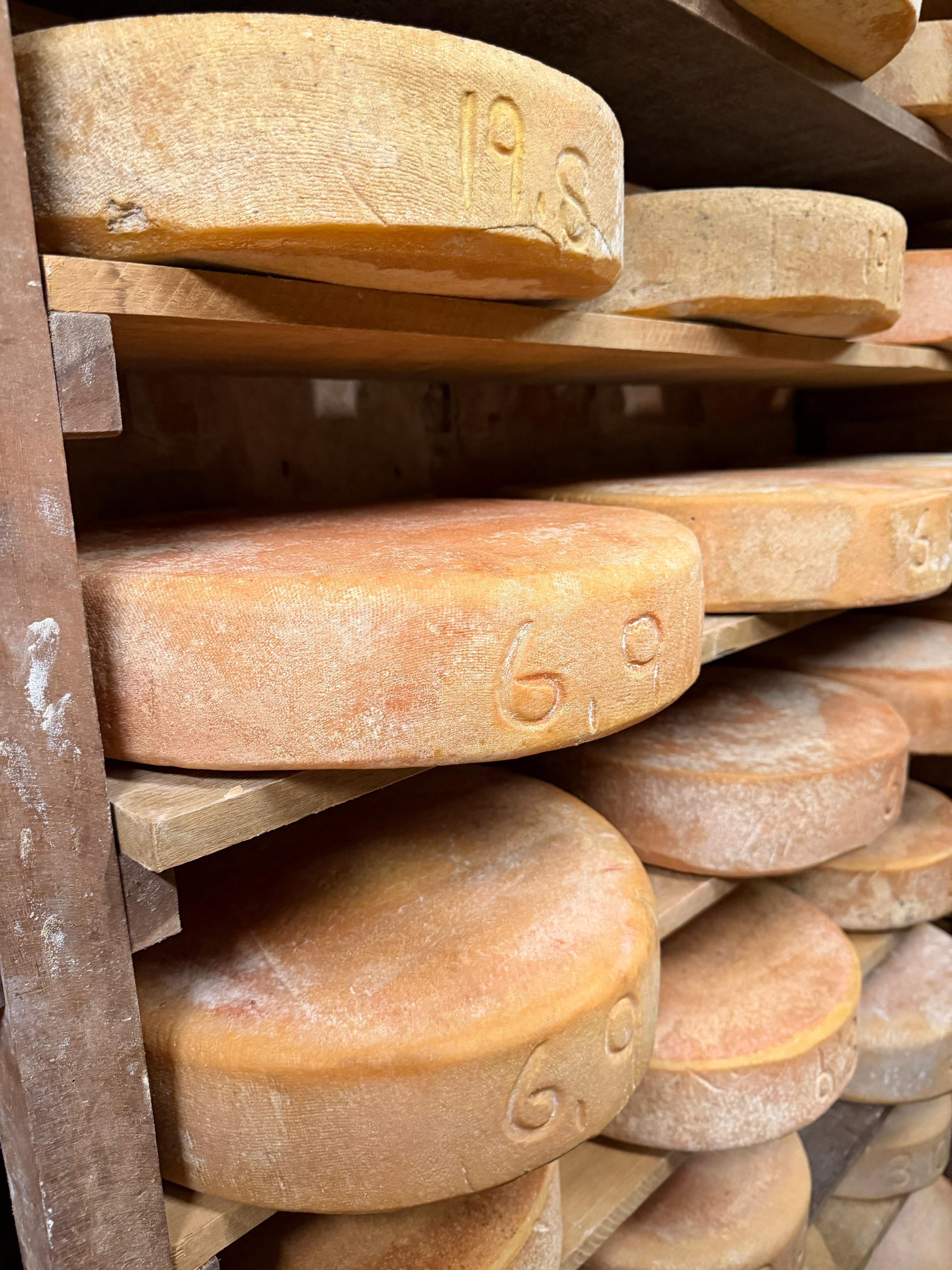 WhatsApp Image 2025-12-05 at 12.59.19 (1).jpeg (1.30 MB)