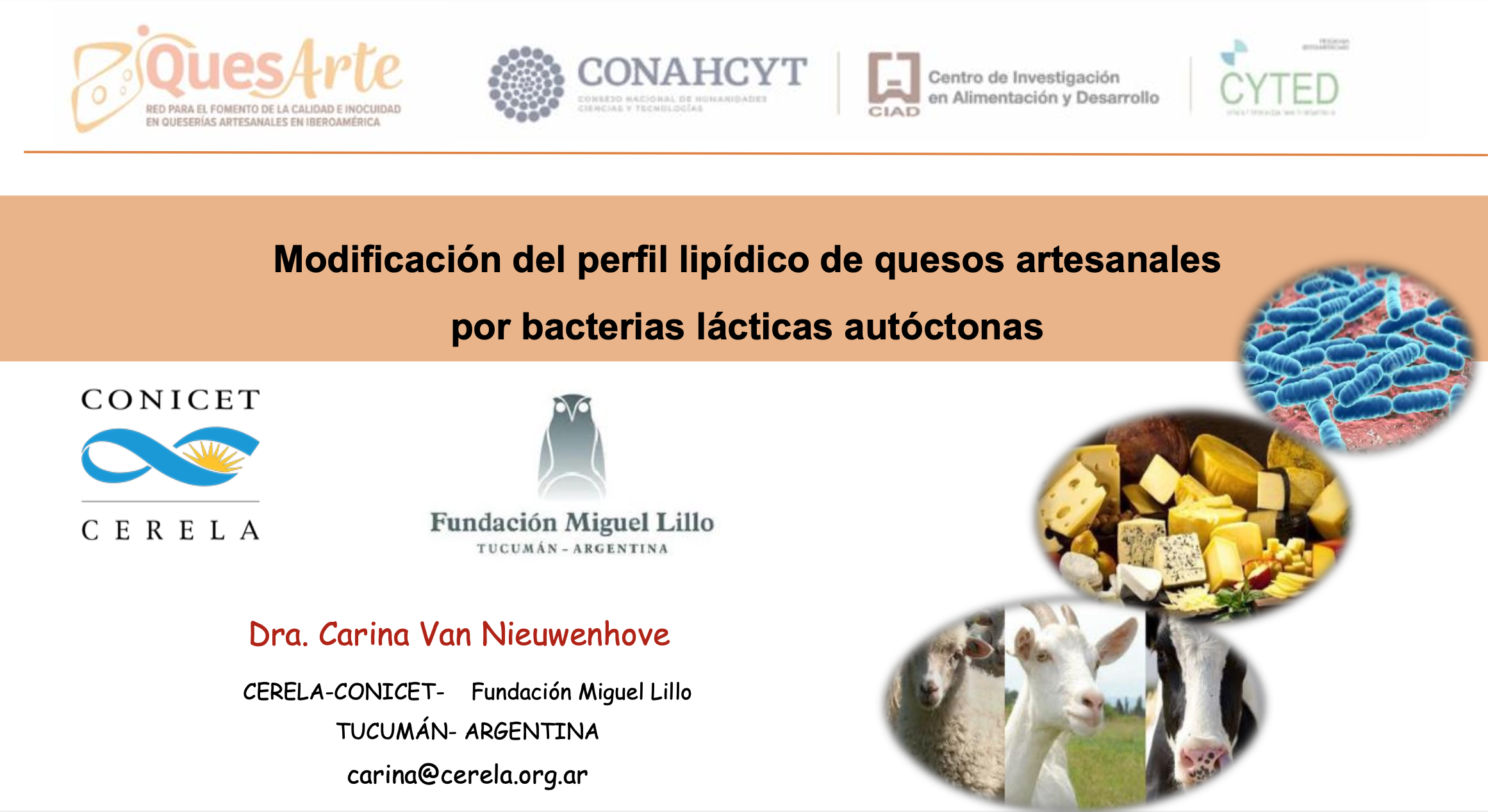 Captura de pantalla 2024-08-06 a la(s) 0.18.15.png (1.44 MB)