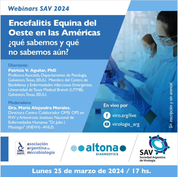 SAV 25 de marzo.png (493 KB)