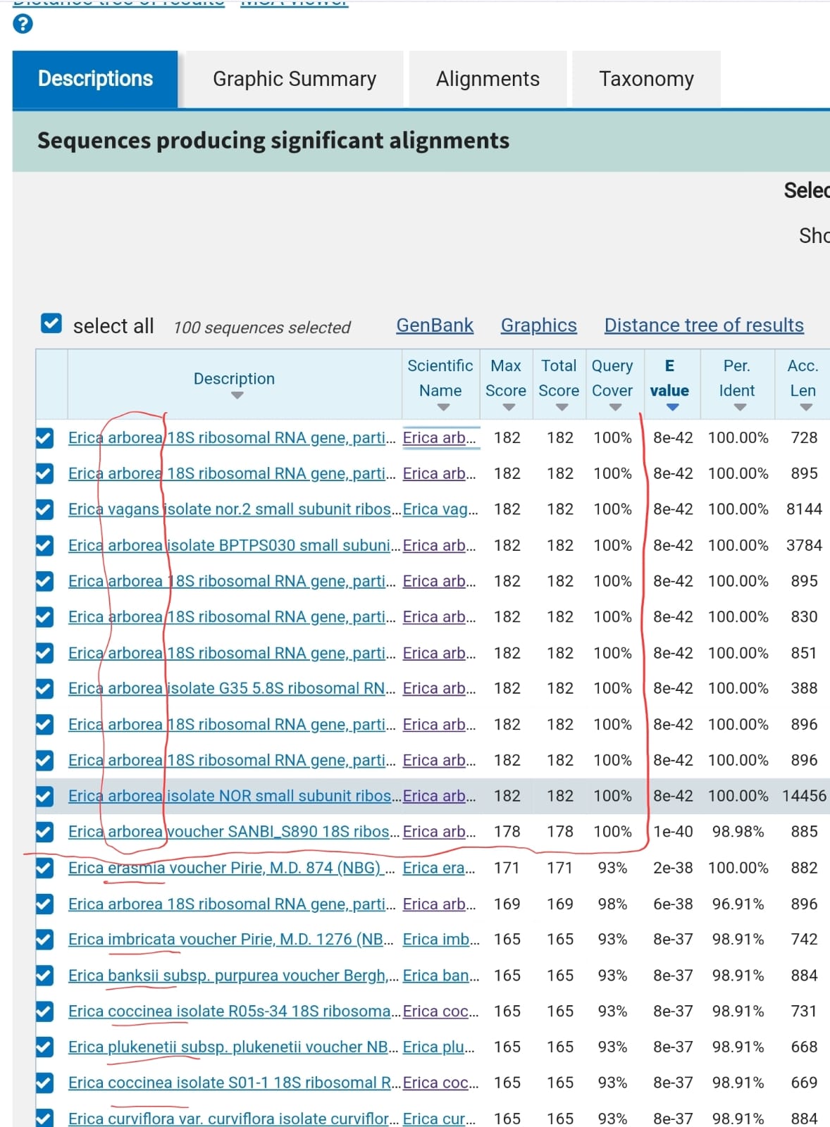 Imagem WhatsApp 2024-10-03 �s 16.13.16_25866ffa.jpg (230 KB)
