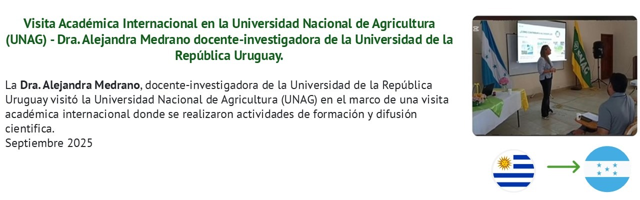 Diapositiva3.JPG (111 KB)