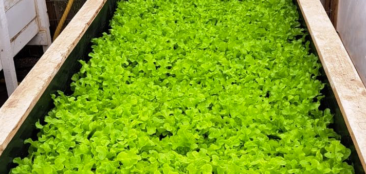 Captura de pantalla 2024-04-15 a la(s) 1.05.23?p.�m..png (572 KB)