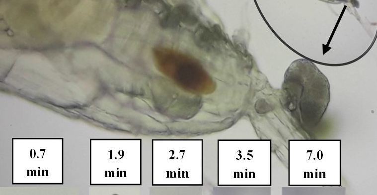 Captura de pantalla 2024-04-15 a la(s) 12.56.33?p.�m..png (292 KB)