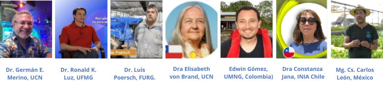 Noticia 1 (3).png (416 KB)