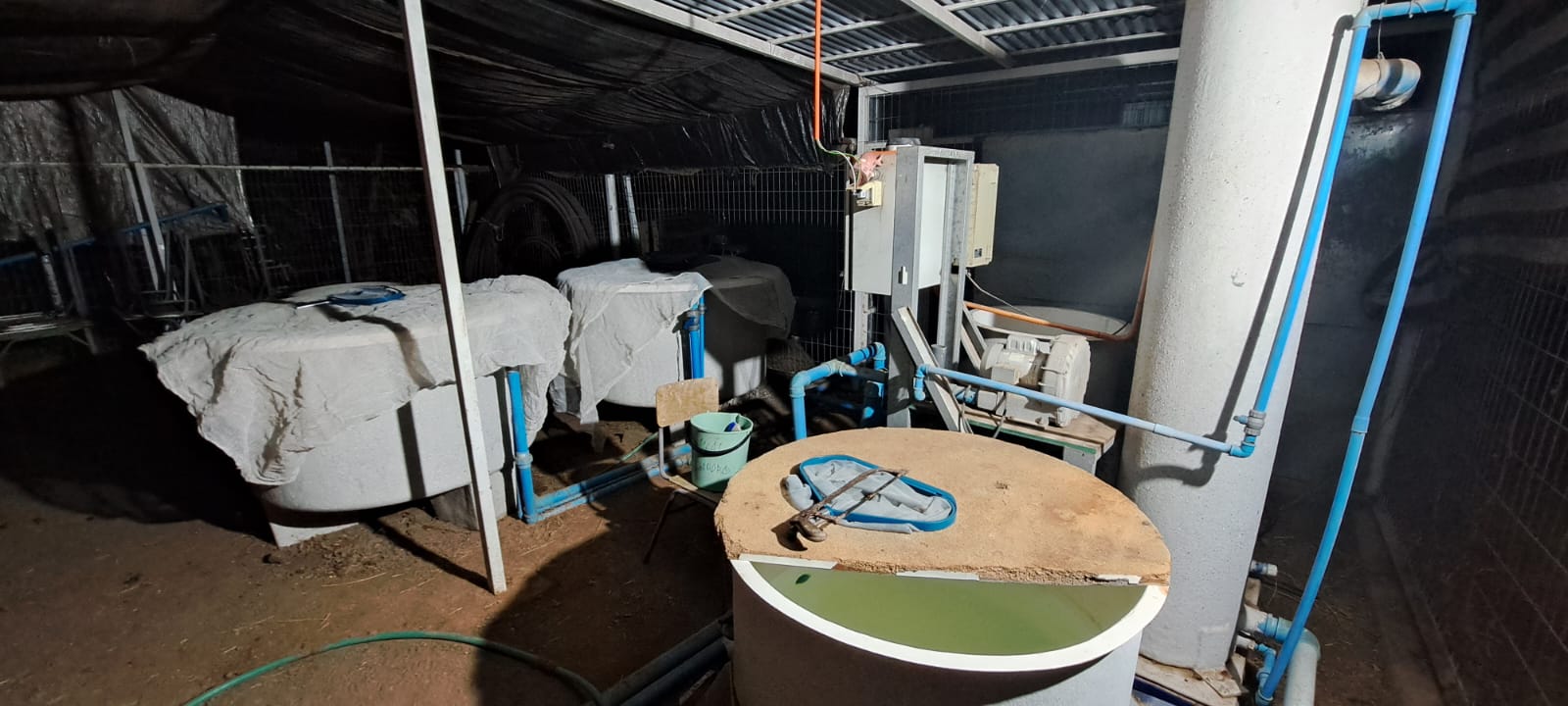 WhatsApp Image 2025-05-20 at 05.47.34.jpeg (139 KB)