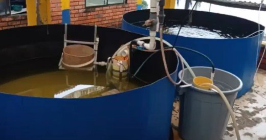 Captura de pantalla 2024-04-15 a la(s) 12.56.26?p.�m..png (267 KB)