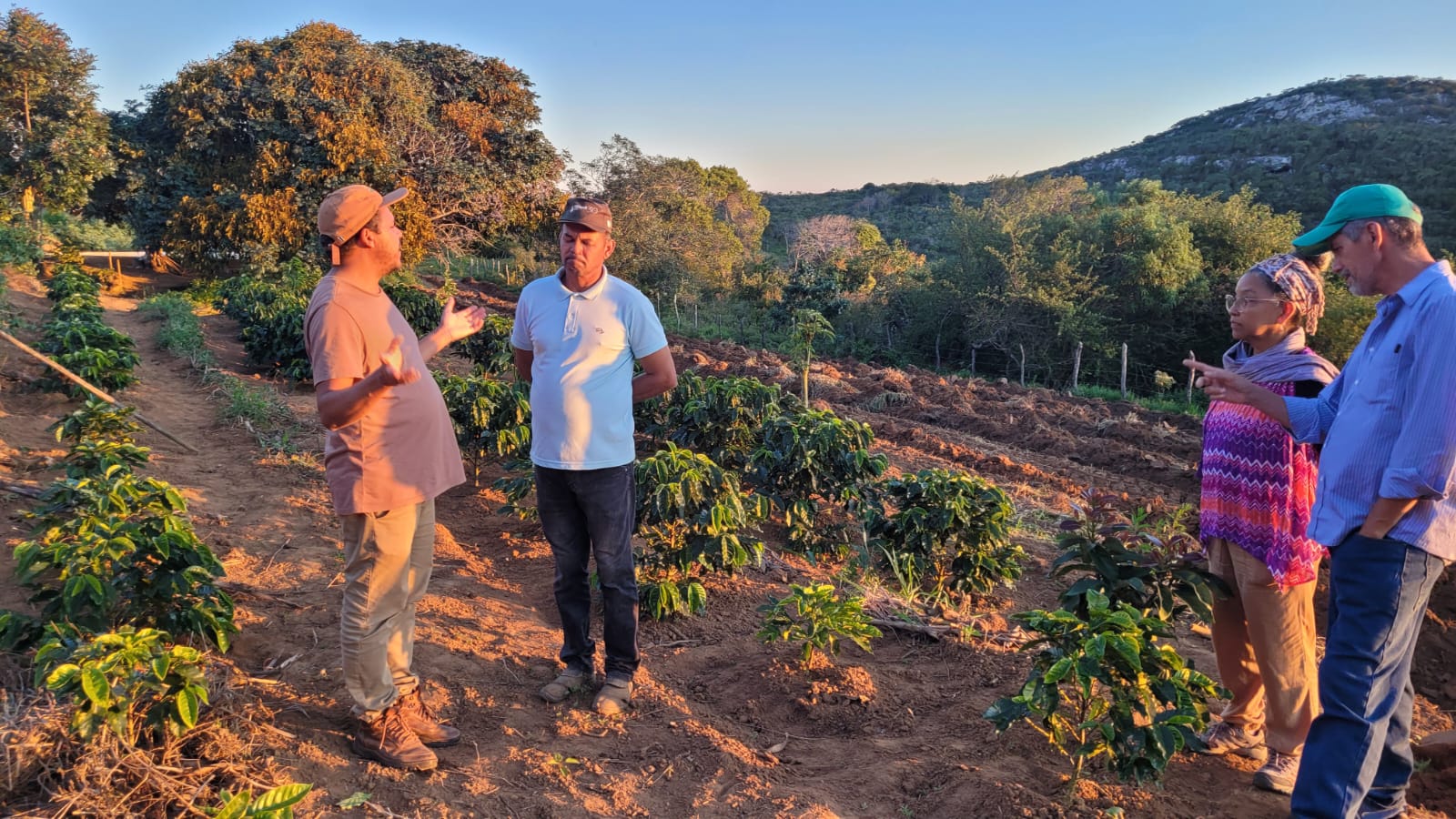 Finca Cicero foto 2.jpg (315 KB)