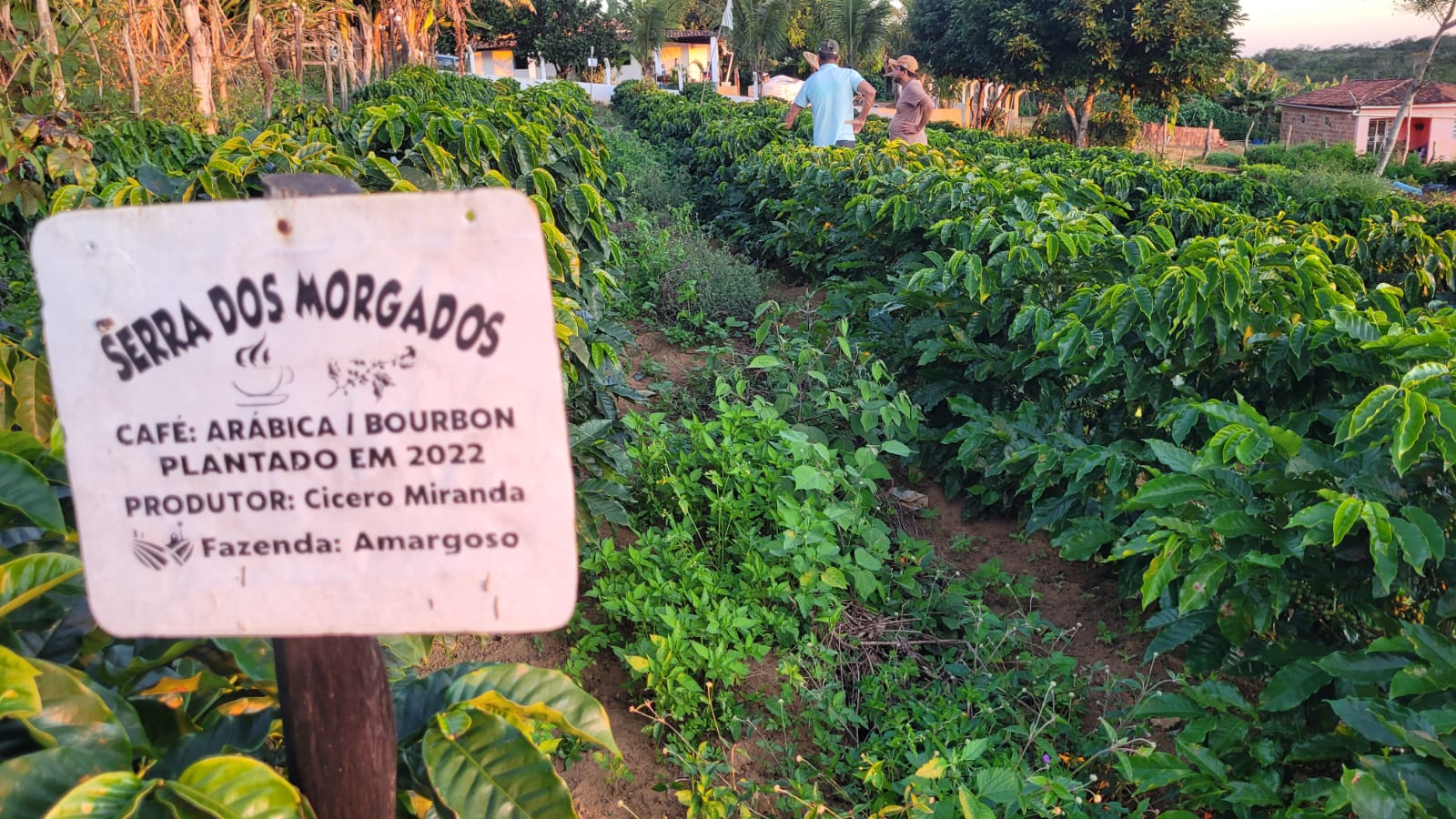 Finca Cisero - foto 1.jpg (321 KB)