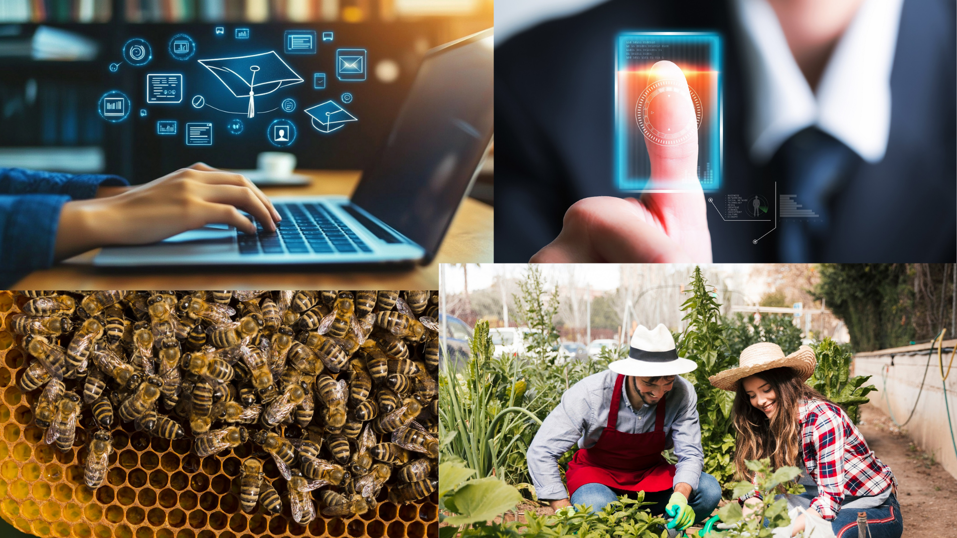 Noticia_Early adopters.png (2.95 MB)