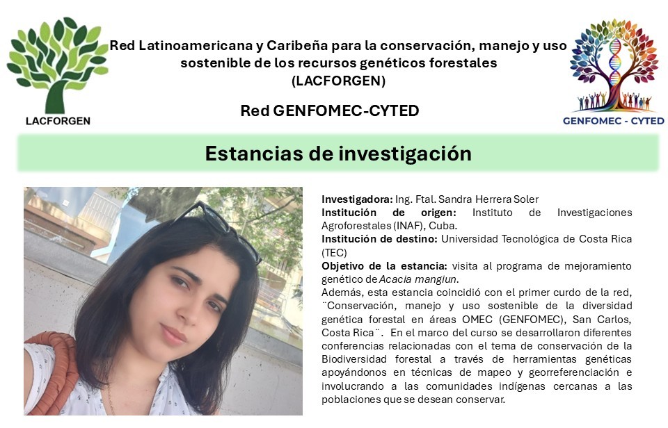 Diapositiva1.JPG (162 KB)