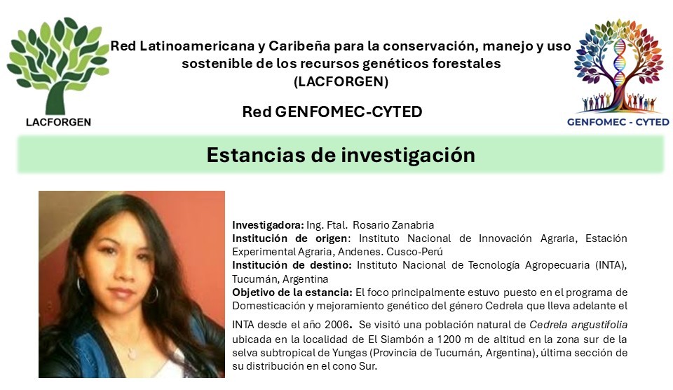 Diapositiva2.JPG (131 KB)