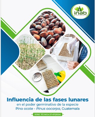 Portada.jpeg (51 KB)