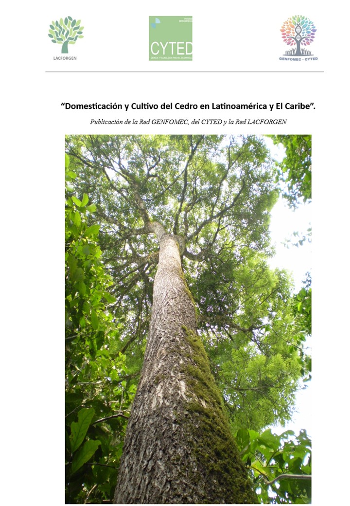 PortadaLibro.jpg (204 KB)