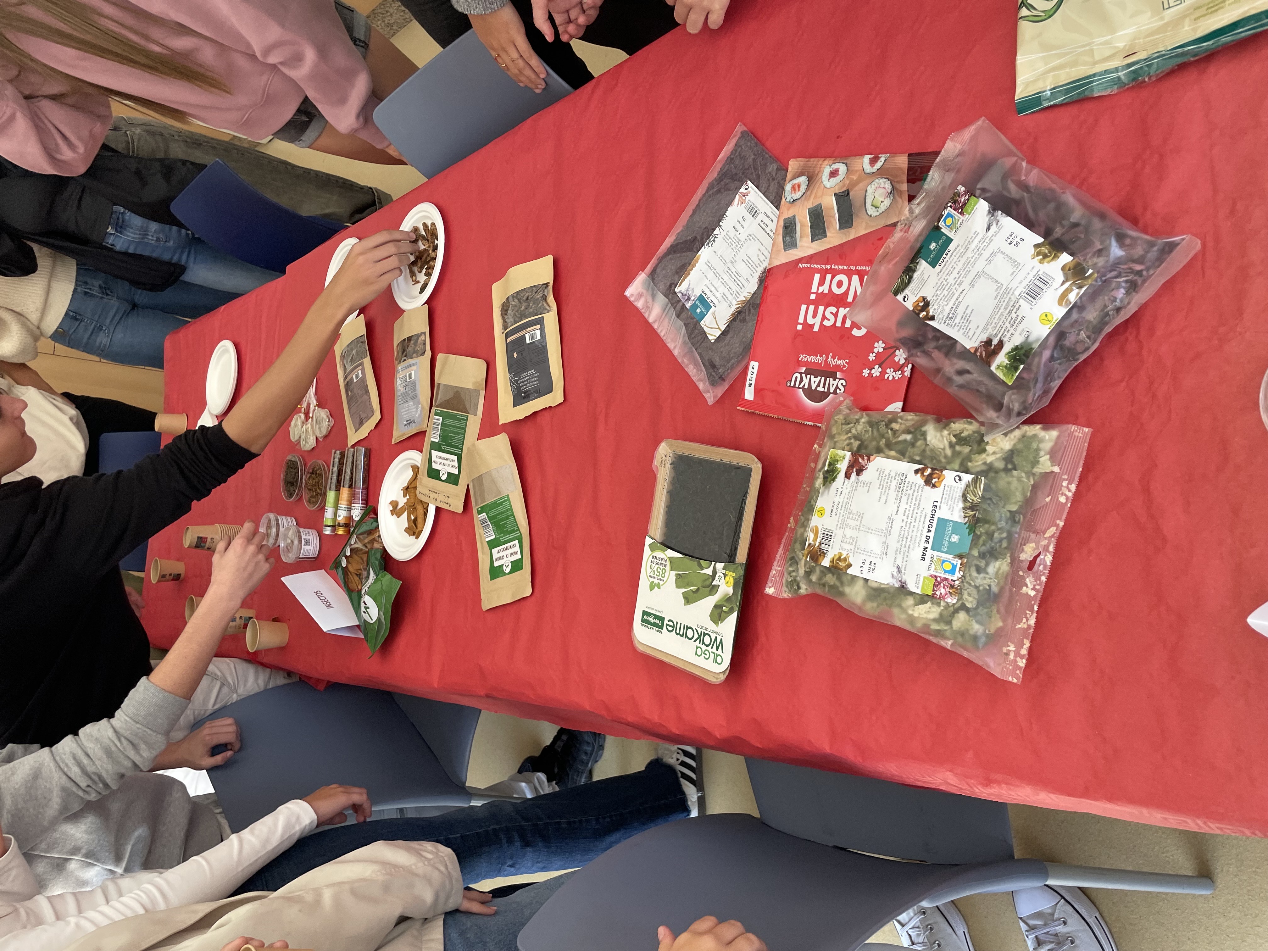 IMG_9910.jpeg (2.28 MB)