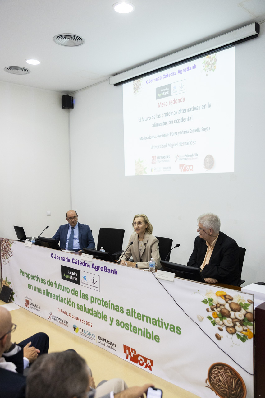 mesa_redonda.jpg (264 KB)