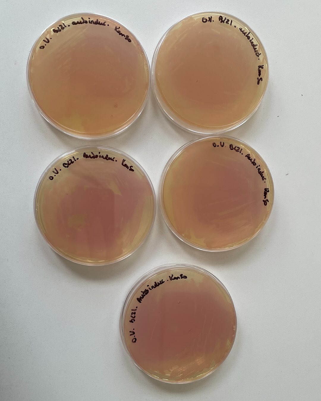 Esta semana estuvimos en la @uncuyo en Mendoza en el Hub Latam de @reclone_org para realizar un  (1).jpg (135 KB)