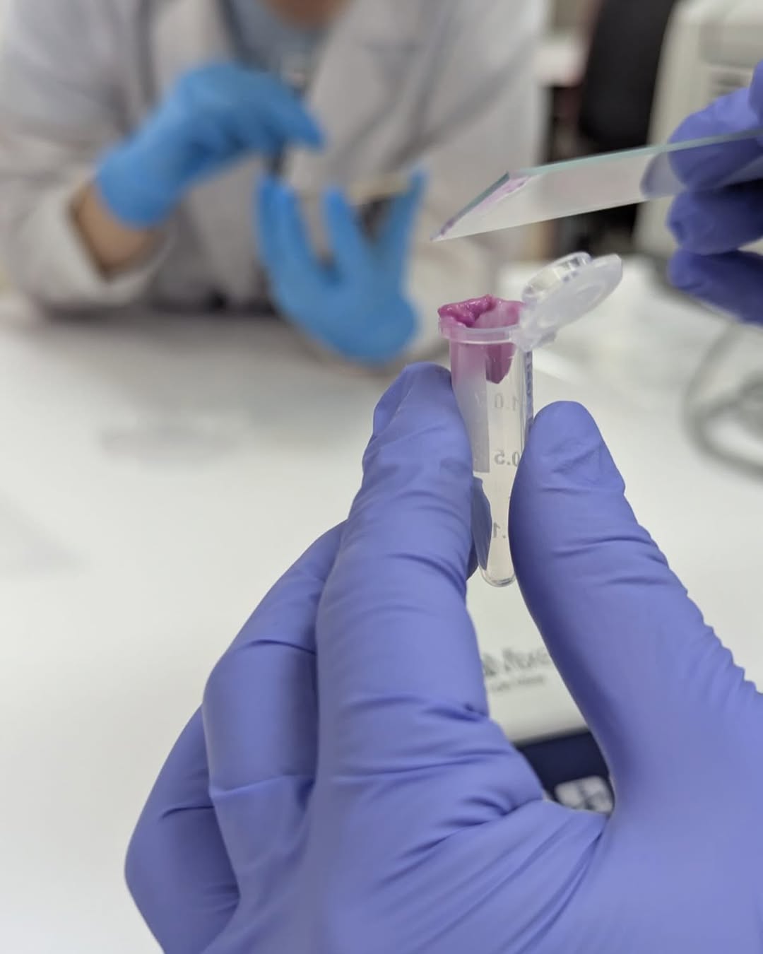 Los di?as 9 y 10 de diciembre de 2025 se llevo? a cabo una nueva edicio?n del ?Taller de tecnologi?a (4).jpg (60 KB)