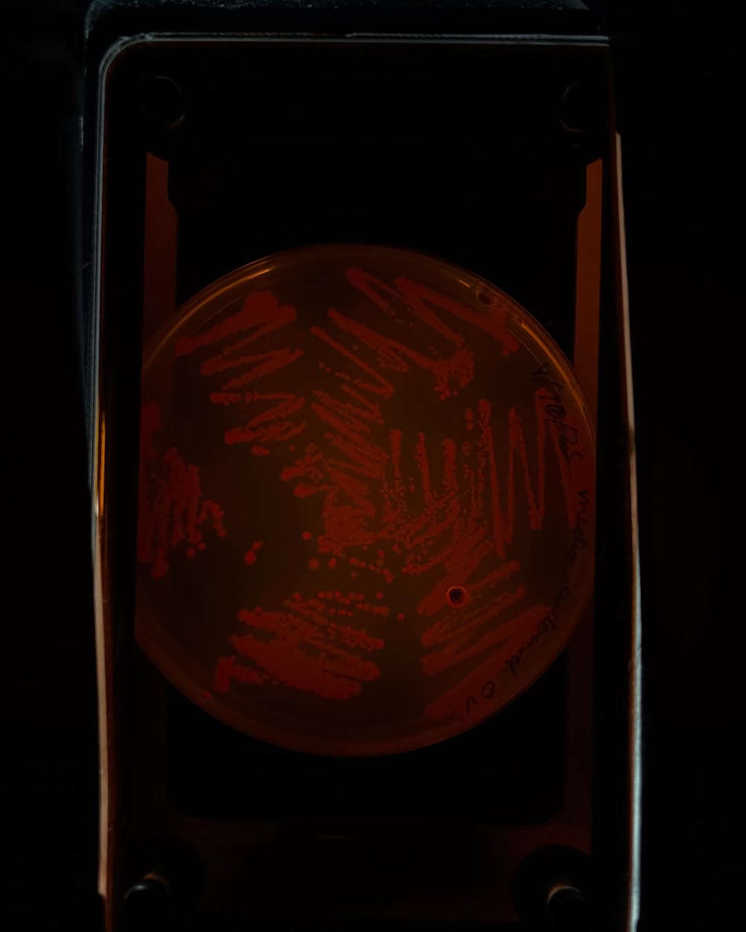 Los di?as 9 y 10 de diciembre de 2025 se llevo? a cabo una nueva edicio?n del ?Taller de tecnologi?a (5).jpg (48 KB)