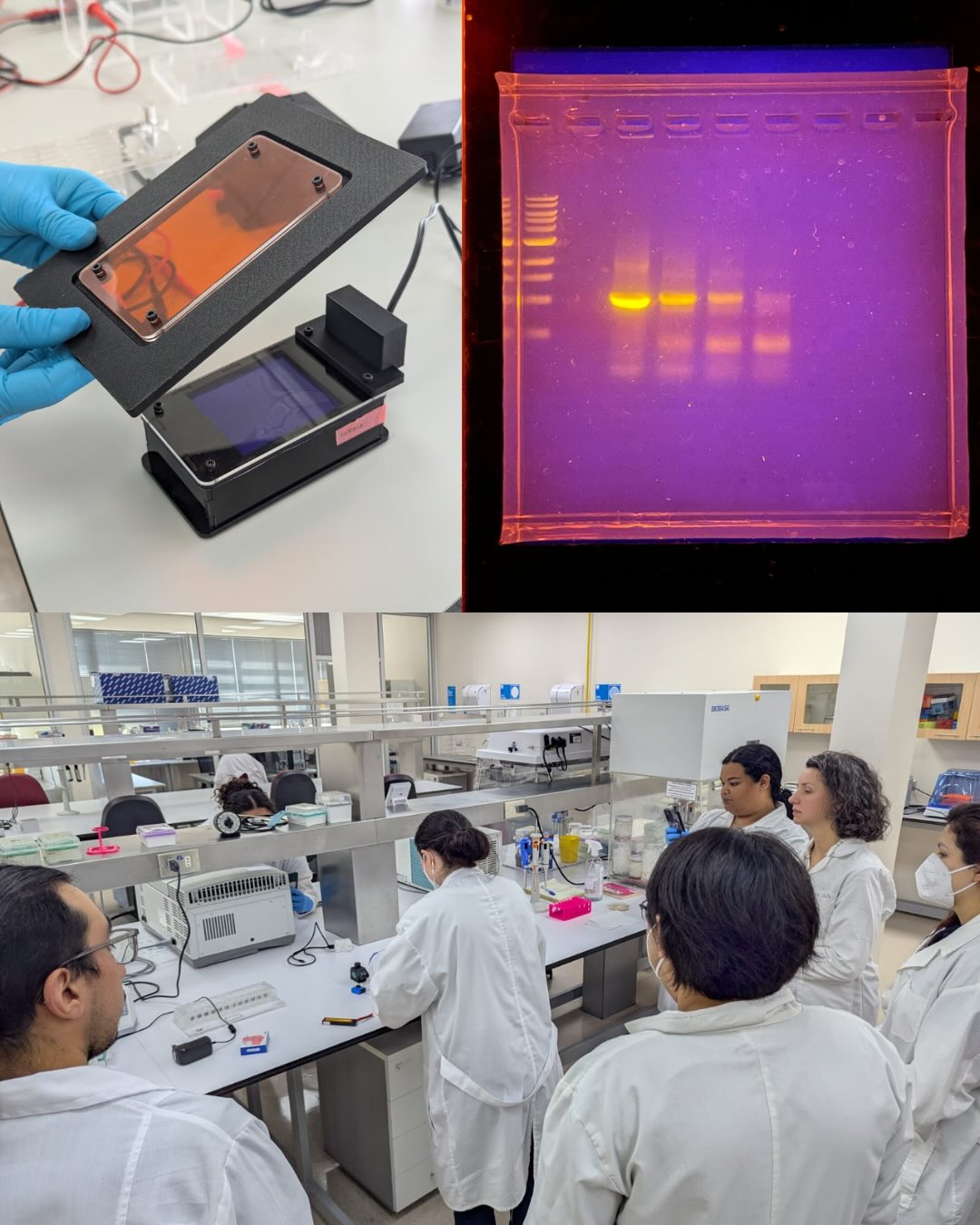 Los di?as 9 y 10 de diciembre de 2025 se llevo? a cabo una nueva edicio?n del ?Taller de tecnologi?a.jpg (192 KB)