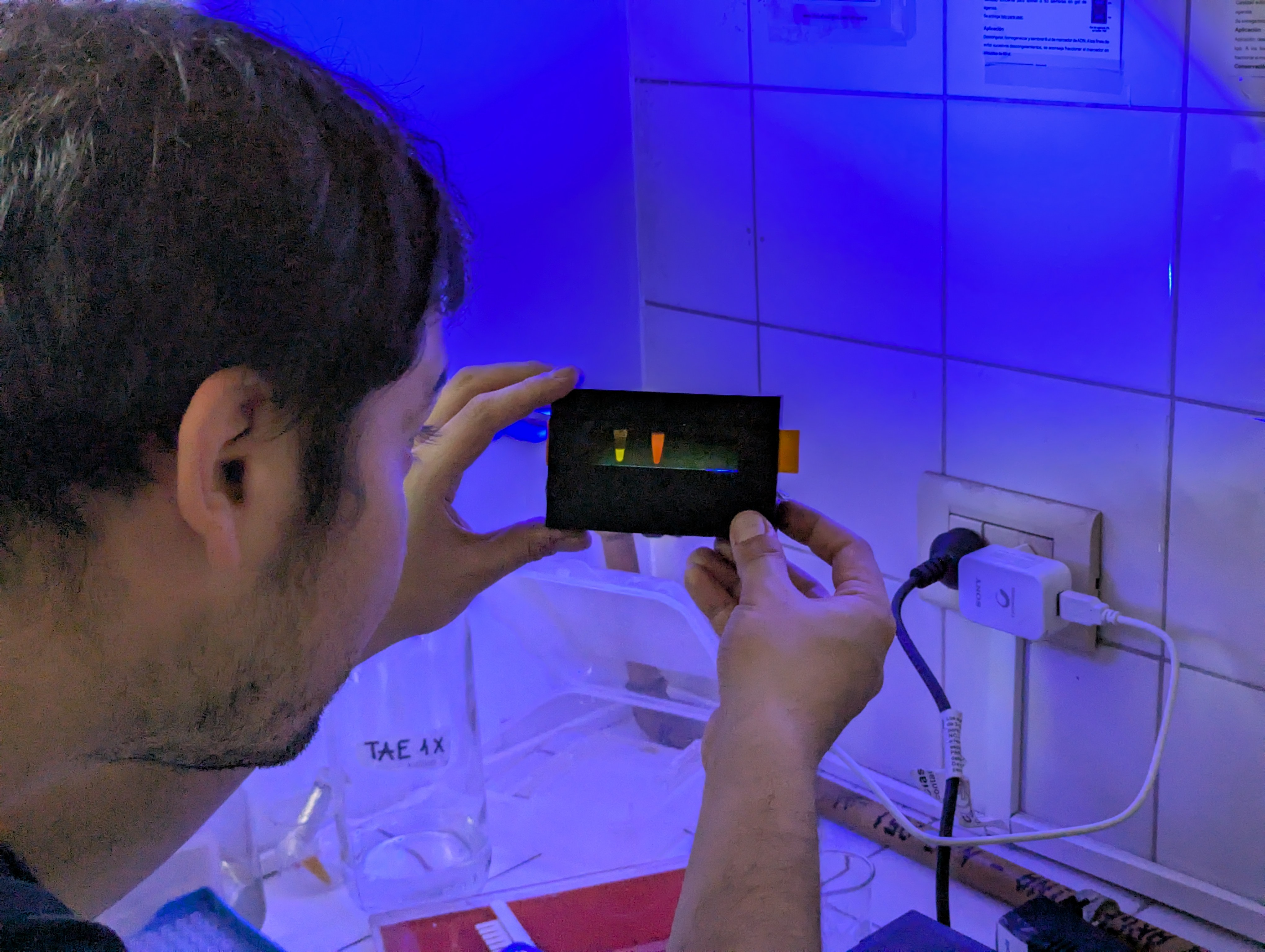 PXL_20250604_202024593 (1).jpg (2.17 MB)