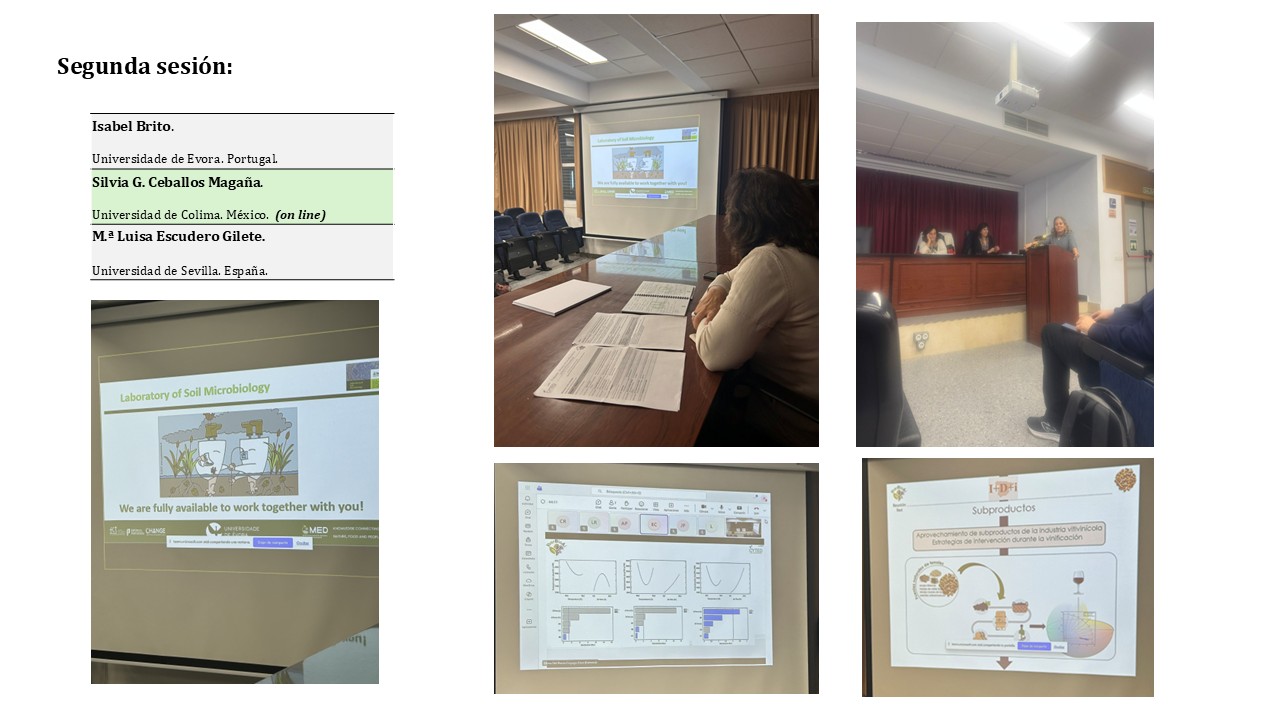 Diapositiva3.JPG (144 KB)