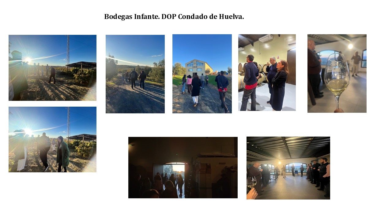 Diapositiva8.JPG (143 KB)