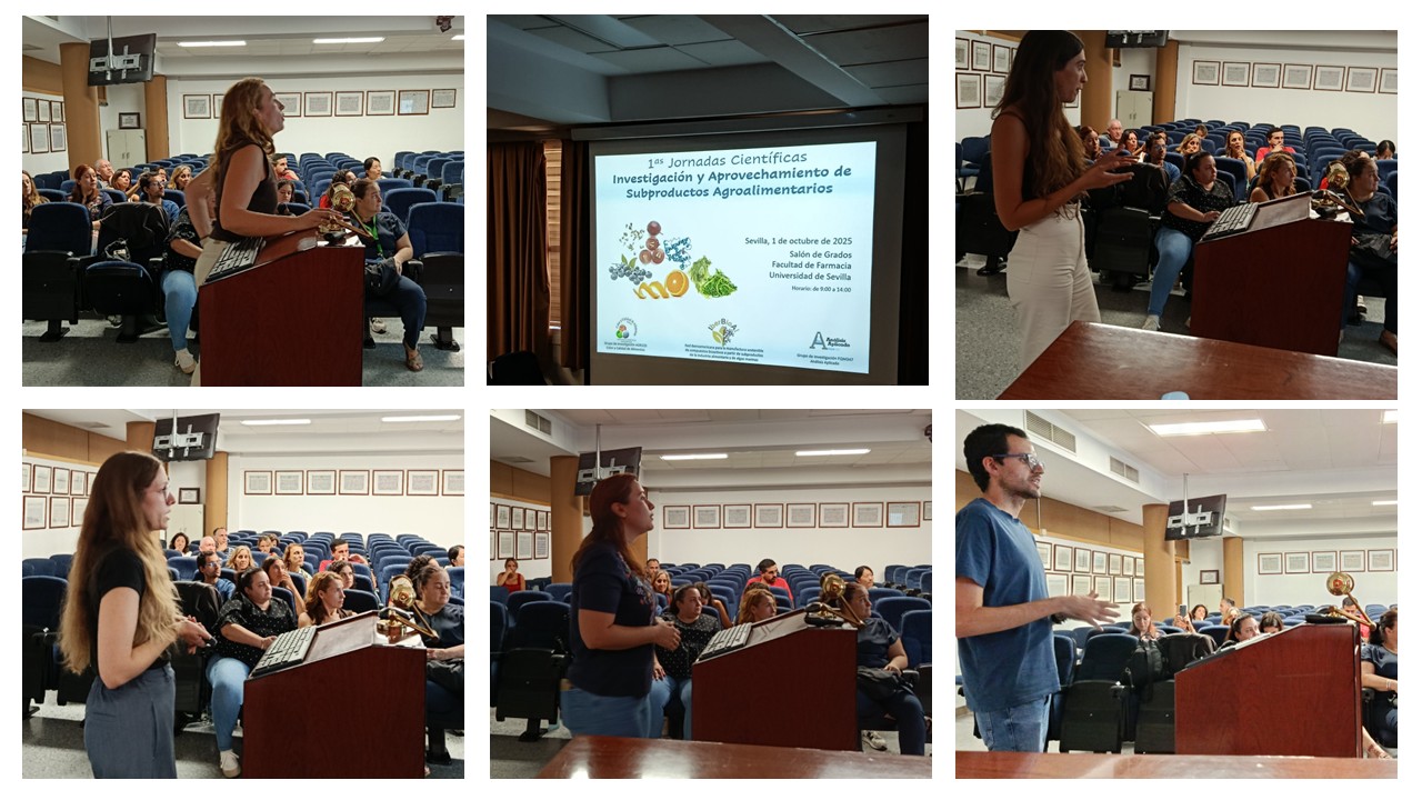 Presentaci�n1.jpg (230 KB)