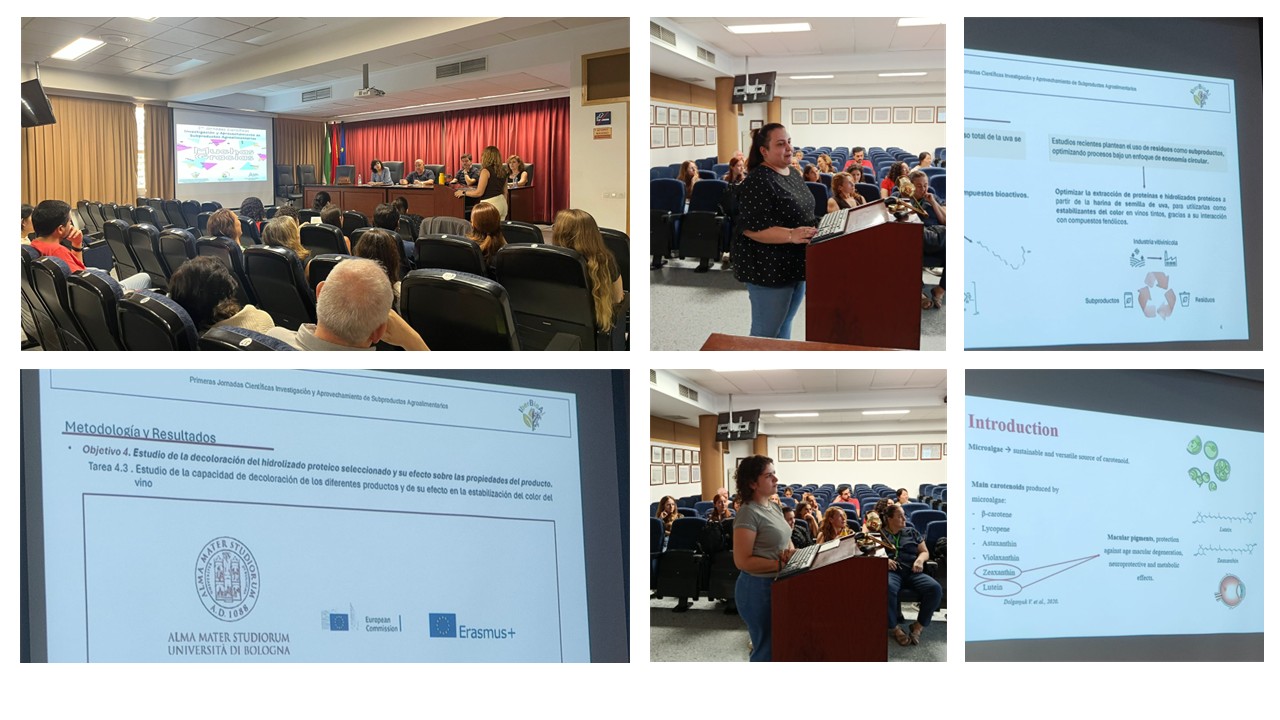 Presentaci�n2.jpg (190 KB)