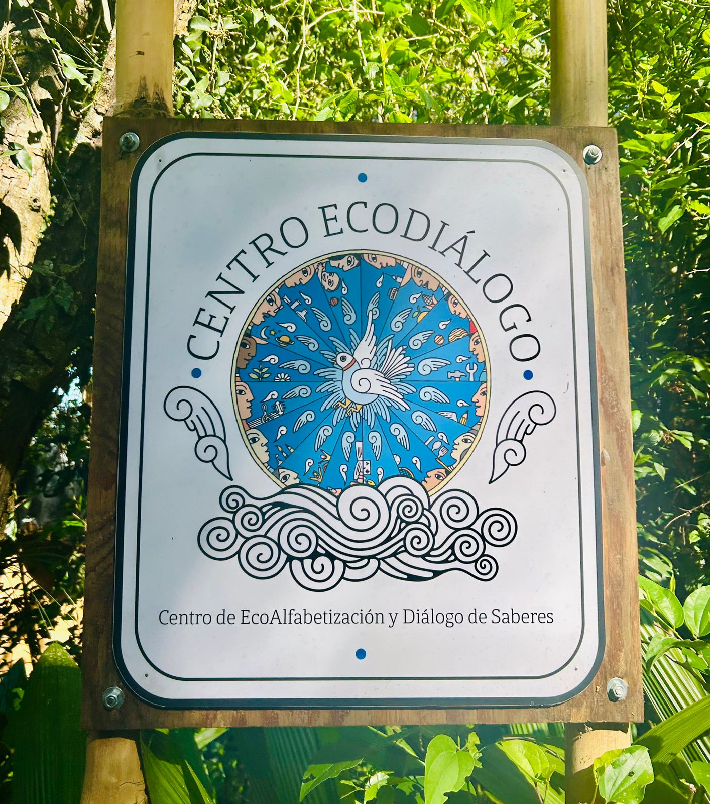 WhatsApp Image 2025-11-06 at 17.11.11.jpeg (460 KB)