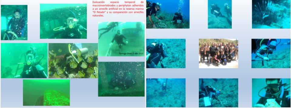 galapagos (6).jpg (60 KB)